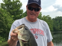Billy fish