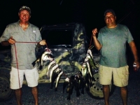 Stringer full for JT and Billy