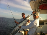 kevin_amber_jack_large