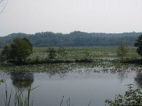 duck_hole1