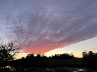 13EB7922-9F54-4331-8AC4-1AFDC694C6D2