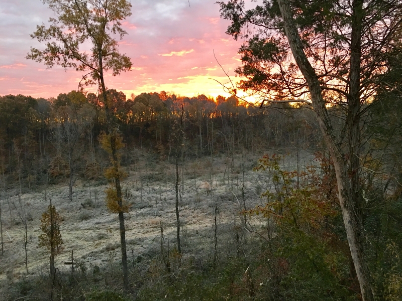 Sun Rise WTL 2