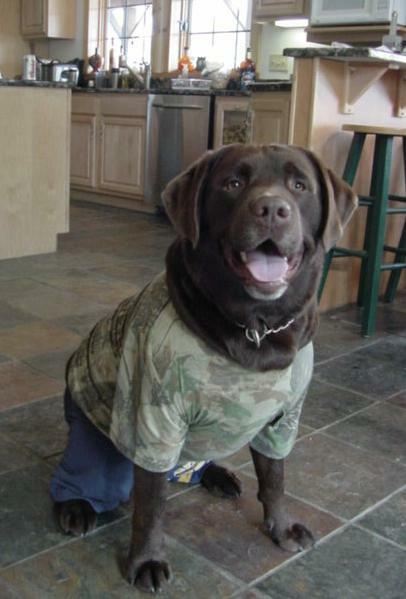 Kaino in Camo