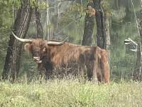 997BCF87-6145-4029-96B8-FAF1070A1B58