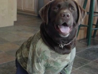 Kaino in Camo